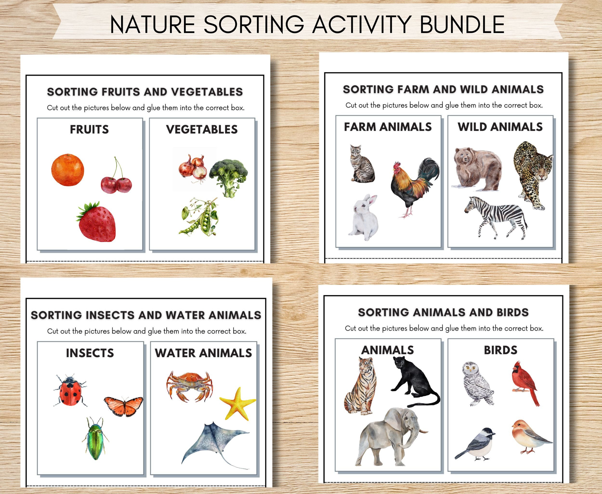 Nature Sorting Activity Printables Montessori Nature Unit Etsy