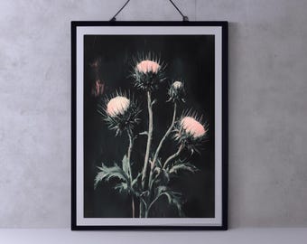 Pintura de flores de Dark Academia / Cottagecore oscuro vintage / Impresión artística de cardo melancólico / Obra de arte floral botánica oscura / Naturaleza gótica