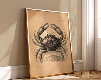 Antique Crab Wall Art - Vintage Marine Biology Illustration - Nautical Scientific Poster Ocean Life Decor Black Ink Sea Creature