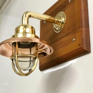 Swan Neck Original Brass Old Antique Wall Mount Sconce Light with Copper Shade