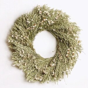 Handmade Avena & Ammobium Wreath: 22&quot; Dried Floral Wreath
