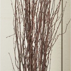 BULK Case of 46” Birch Branches - 60 Stems Total