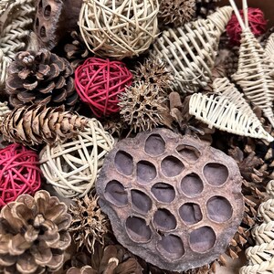 Box of Decorative Pine Cones, Pods & Multi-Colored Wicker - 50 Pieces