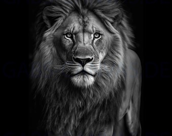 The majestic lion - canvas - mural - poster XXL - art print - print art pictures wall pictures - high-quality art print