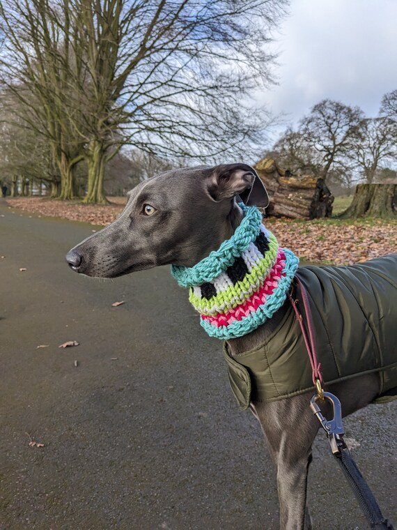 greyhound scarf