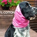 see more listings in the Chien snood section