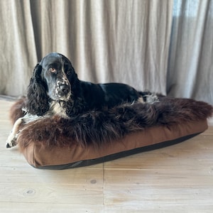 May include: A black and white Cocker Spaniel dog resting on a brown dog bed with a dark brown, fluffy top. The bed has a rectangular shape with a brown fabric base and a black trim.