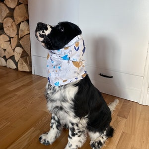 Snood pour chien en coton Snoods d'été pour chiens Protecteur d'oreille pour chien Cavalier Cocker Springer Spaniel Seter Snood snoods aérés et légers pour chiens image 2