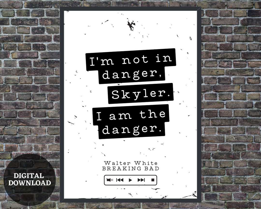 breaking-bad-i-m-not-in-danger-skyler-i-am-the-danger-walter