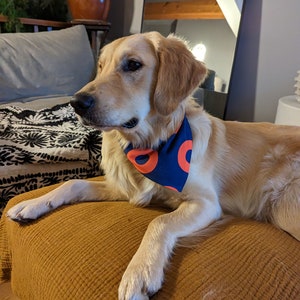 Phish Donut Pet Bandana Collar