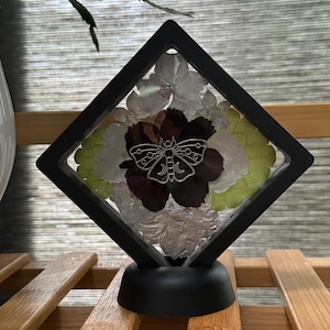 Puede incluir: Un marco negro en forma de diamante con un frente de vidrio muestra flores prensadas y una polilla plateada con un diseño de luna creciente. El marco se asienta sobre un soporte negro.