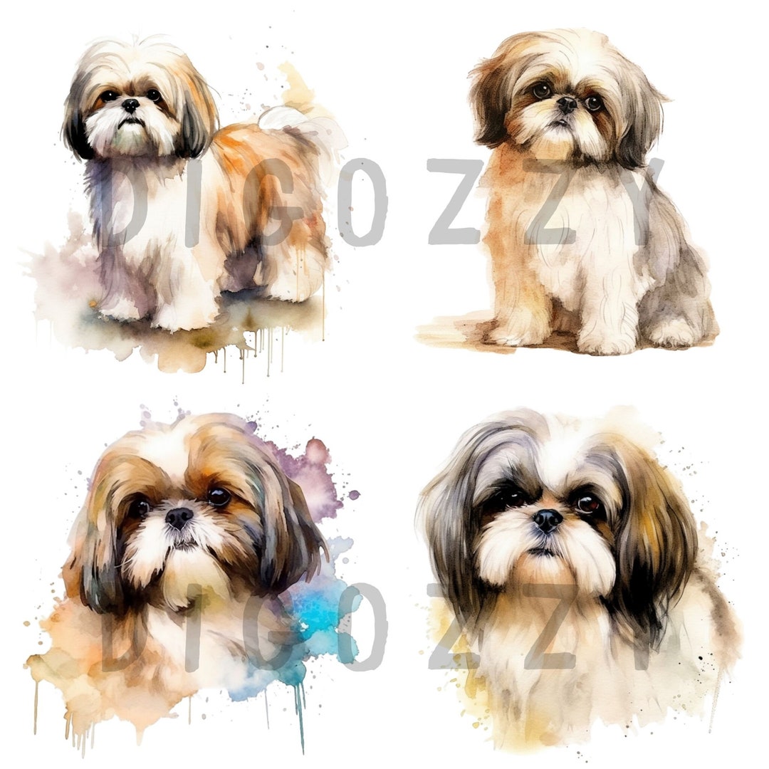 Shih Tzu Clipart, Shih Tzu, Shih Tzu Clipart, Digital Download ...