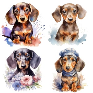 Dachshund Watercolor Clipart, dachshund clipart, commercial use, digital download, watercolor clipart, kids room wall art, baby animal print