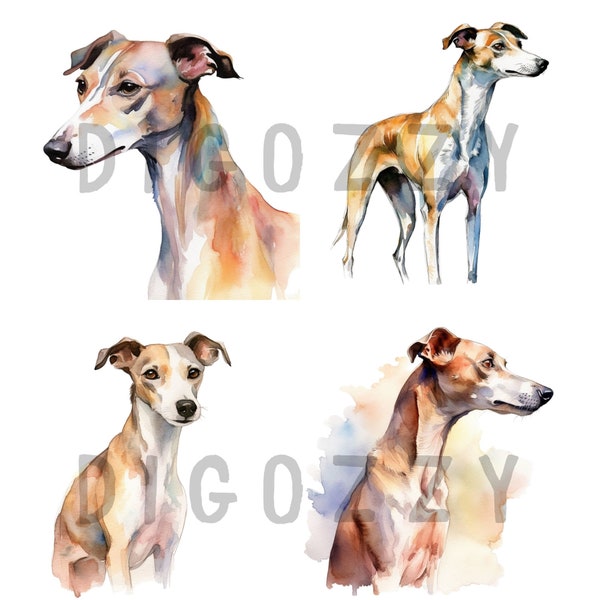 Whippet dog clipart, Whippet, dog clipart, clipart, Digital Download, portrait, Trainer, Training, Canine, Purebred, Mascot, Pedigree