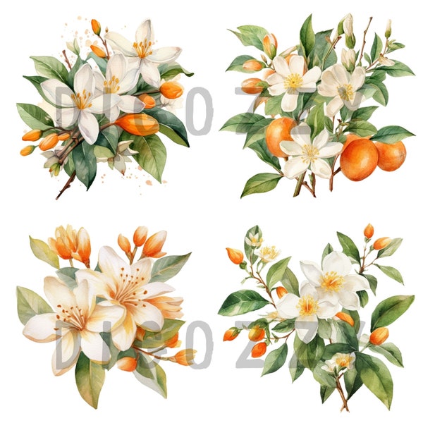 Watercolor Orange Blossom Clipart, watercolor clipart, orange blossom, wedding invitation, orange clipart, watercolor orange, summer clipart