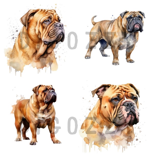 Bullmastiff Clipart, digital download, watercolor dog, clipart pack, digital crafting, winter portrait dog, print Art, Bullmastiff png