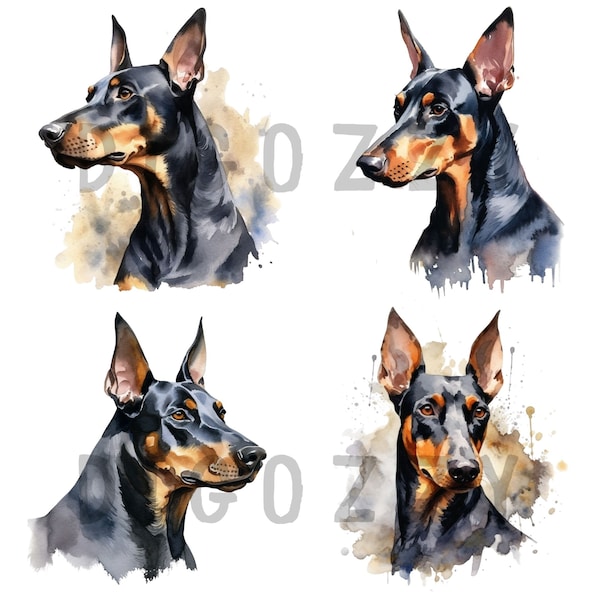 Watercolor Doberman Pincher Clipart, commercial use, instant download, dog clipart, Dog stickers, Dog watercolor, Doberman Pincher Dog
