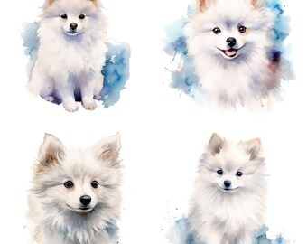 American eskimo dog Clipart - High Quality PNGs - Digital Paper Craft, Clipart Pack, Journaling, Watercolor, Wall Art, Mugs, T-Shirt, Prints