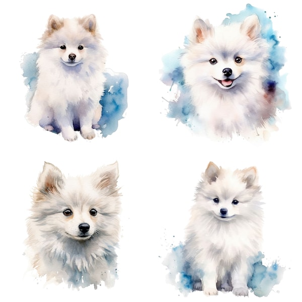Amerikanischer Eskimo Hund Clipart - Hochwertige PNGs - Digital Paper Craft, Clipart Pack, Journaling, Aquarell, Wandkunst, Tassen, T-Shirt, Drucke