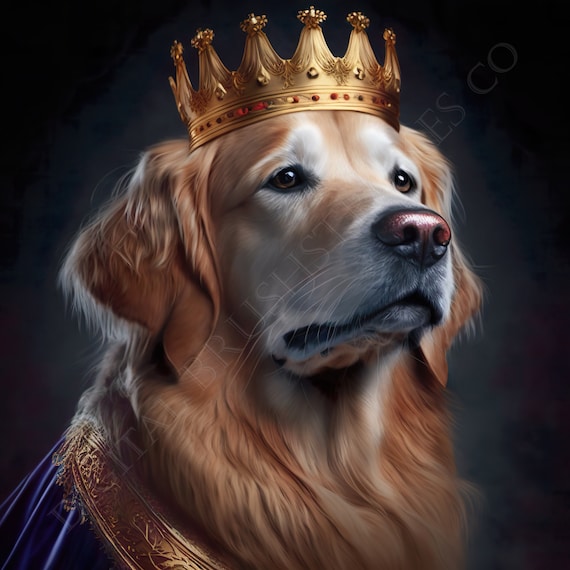 Golden retriever royal top