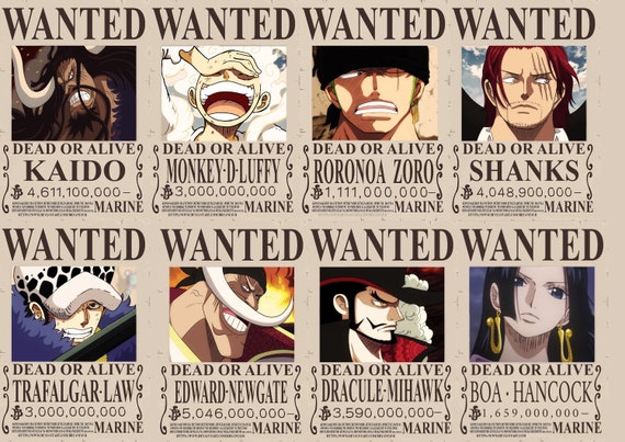 Who Has The Highest Bounty In One Piece?