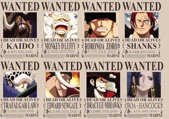 How much is Monkey D. Luffy's bounty?