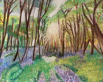 Bluebell woods