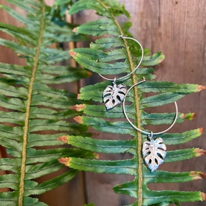 May include: Silver hoop earrings with a silver monstera leaf charm hanging from each hoop. The earrings are displayed against a green fern frond.
