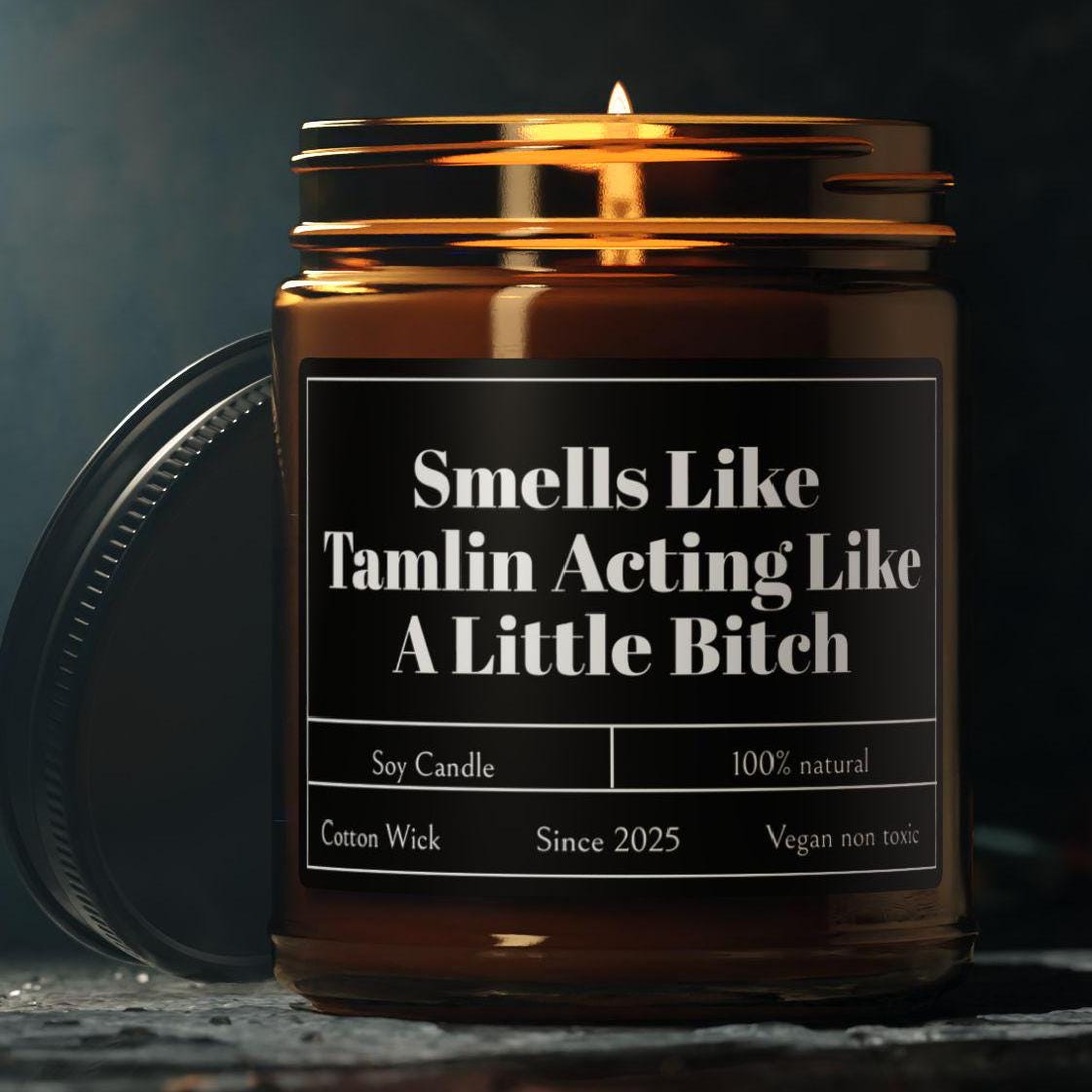 Smells Like Tamlin Candle, Tamlins a Bitch, Tamlin Acotar Candle, Acotar merch, Funny Tamlin. Scented Soy Candle