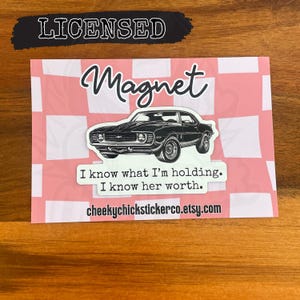 LICENSED Ravenhood series trilogy decorative car magnet or refrigerator magnet, die cut magnet for decoration, gift for Kate Stewart fans