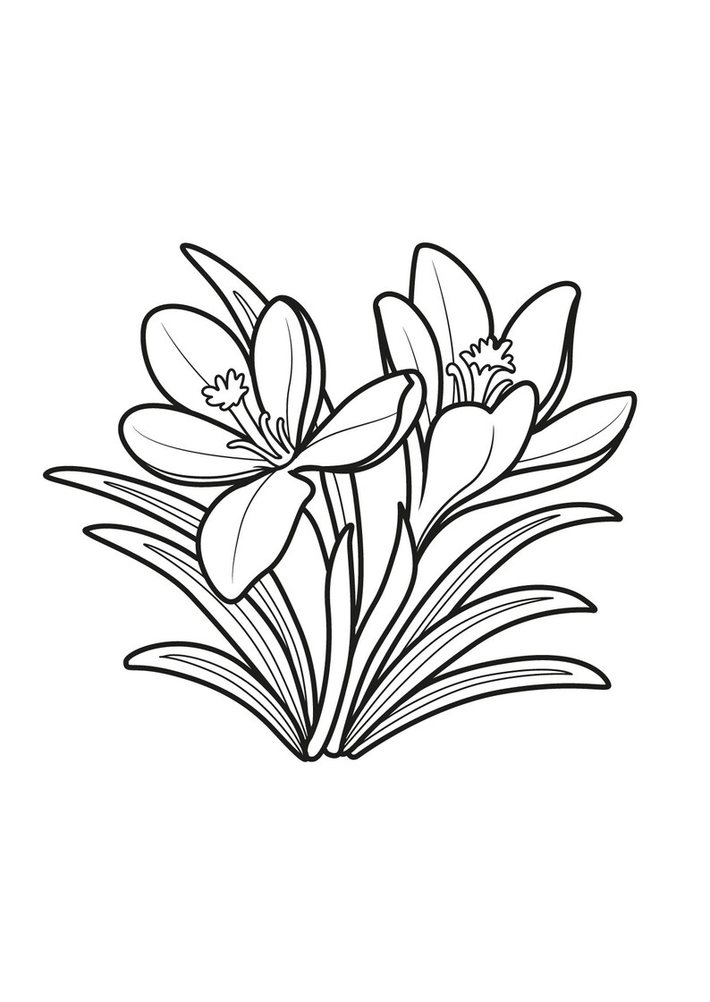 20 Unique Flower Coloring Pages for Kids, A4 Sheets, Colouring for Kids