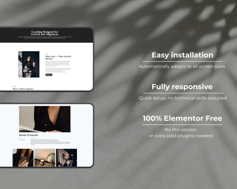WordPress Theme, Elementor Website Template, Woocommerce Wordpress Themes, Marketing Agency, Coach website, Website, Professional Theme image 2