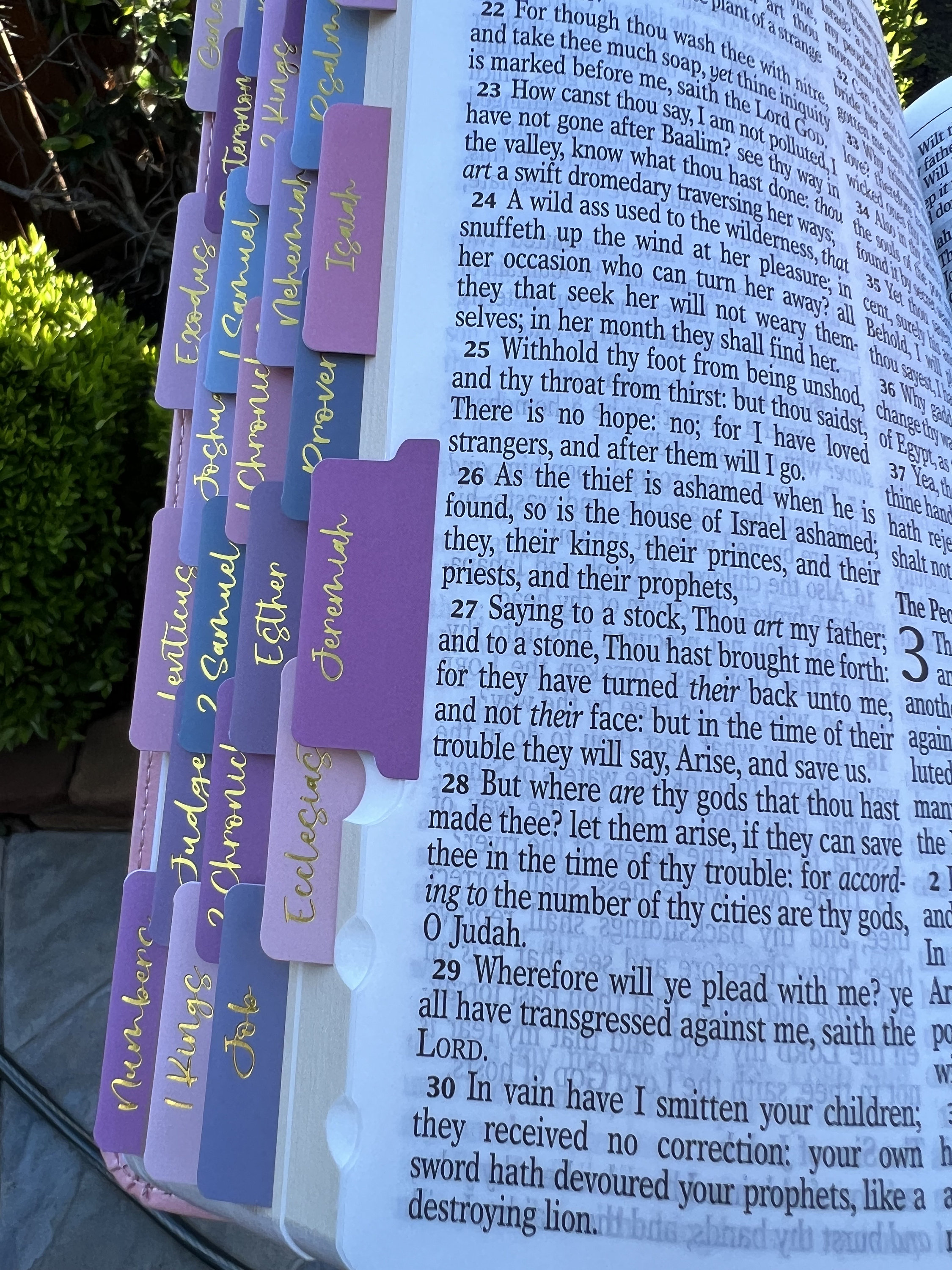 Beautiful KJV Pink LeatherSoft Giant Print Bible with Pink Ombre Tabs and Personalized with Name