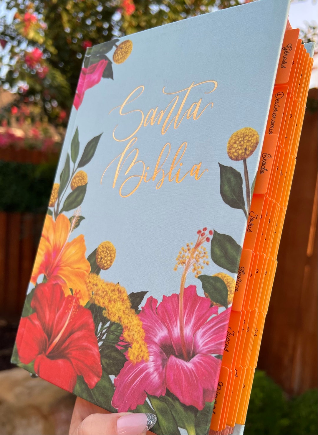 SANTA BIBLIA ONLINE visual data 6