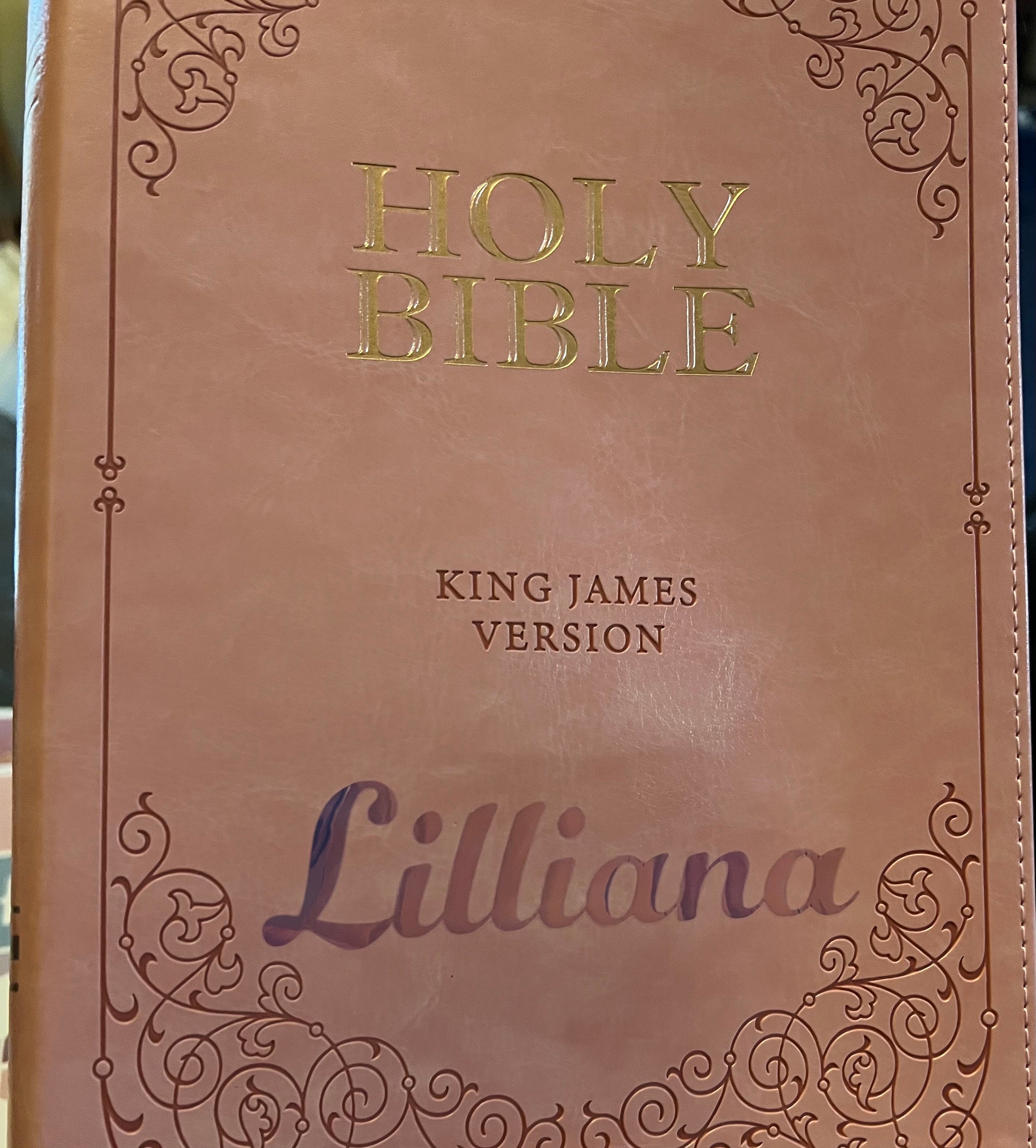 Beautifully Simple KJV Pink Leather Soft Giant Print Bible with Decorative/ Protective Gold Corners and Custom Name Option