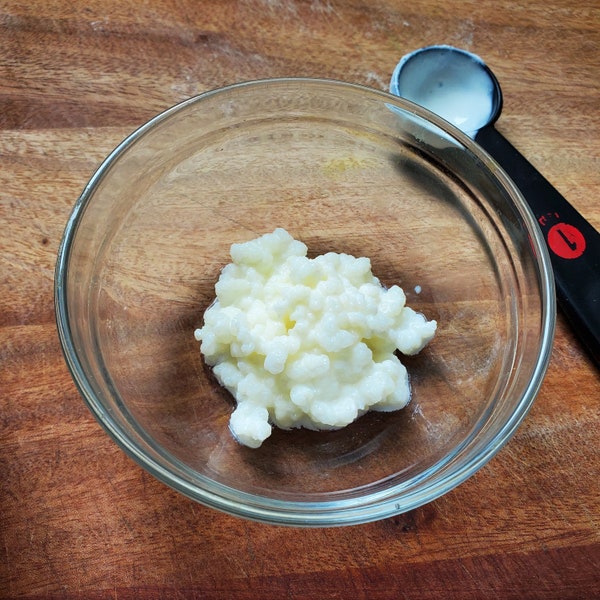 Kefir grains, organic milk kefir grains (1.5 tsp) [Read item details]