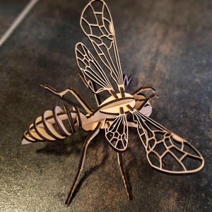 May include: A three-dimensional laser-cut wooden insect sculpture featuring a segmented body and intricate wing patterns. The light-coloured wood pieces are assembled with dark-edged joints, creating a detailed representation of a wasp or bee.