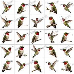 May include: A sheet of twenty-five individual nail decals featuring illustrations of ruby-throated hummingbirds in various poses, including perched on branches and in flight with wings spread. The text NailDecals is visible across the sheet.