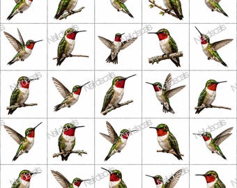 Hummingbirds Nail Art Waterslide Decal  set of 50 + Bonus, , instructions