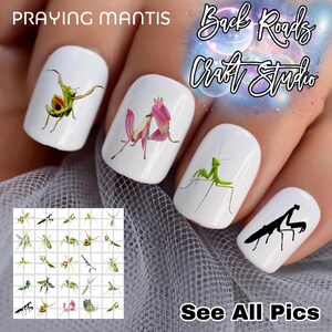May include: White nail art featuring praying mantis designs in various colors. The nails showcase detailed illustrations of the insect, with a variety of poses and colors. The text "Praying Mantis" and "See All Pics" are also visible.