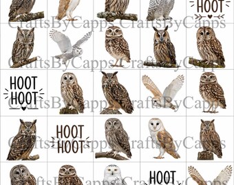 Owls Nail Art Waterslide Decal  set of 50 + Bonus , Instructions KC