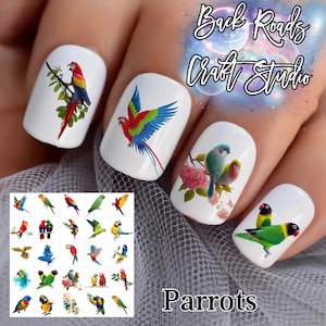 Naklejki wodne Parrots Nail Art Waterslide, zestaw 50 sztuk + Bonus, instrukcje, sprawdź również naszą ofertę niestandardową