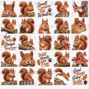 Könnte beinhalten: Ein digitales Blatt mit mehreren Illustrationen von Eichhörnchen in verschiedenen Posen, einige halten Nüsse oder Tannenzapfen, durchsetzt mit Texten wie Small Creatures Big Wonders, Nuts Today Stronger Tomorrow, Wild Hearts Live Free und Good Things Grow Wild.