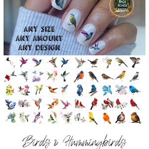 Naklejki wodne na paznokcie Birds Hummingbirds Nail Art Waterslide Decals zestaw 50 sztuk + Bonus, instrukcje, sprawdź również naszą ofertę niestandardową