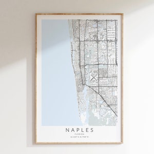 Naples Florida Map Print, Naples Florida Poster, Florida Map Print, Florida Gift Map, Naples Map Art, Naples Street Map, Naples Decor