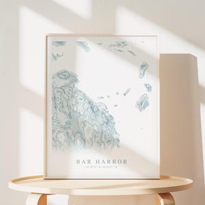 May include: A framed print of a blue and white map of Bar Harbor, Maine. The map shows the coastline and surrounding islands. The text "Bar Harbor" and the coordinates "44.3874&deg; N, 68.2039&deg; W" are printed below the map.