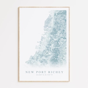 Impression de carte de New Port Richey en Floride, carte de New Port Richey, cadeau de New Port Richey, impression de carte de Floride, carte de New Port Richey, cadeau de Floride