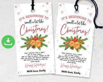 Op de afbeelding: Twee witte kerstcadeaulabels met zwart touw. De labels lezen "It's beginning to smell a lot like Christmas!" in rood script. Elk label heeft een feestelijke illustratie van sinaasappels, steranijs en groen. De onderkant van het label zegt "Happy Holidays!"
