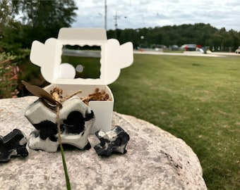 Texas State cement statue. Great souvenir. Giftable, boxed and ready. Black or Brown Cow pattern. Made in Texas.