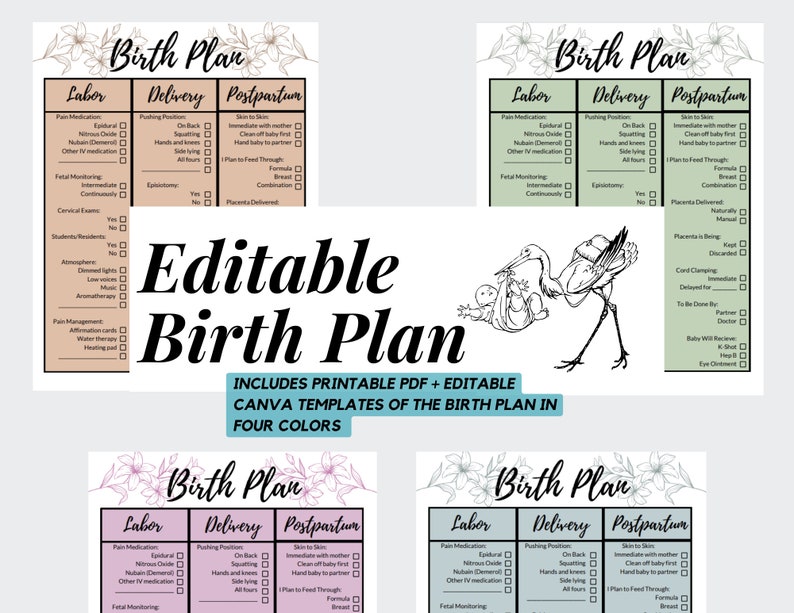 Editable Birth Plan Labor and Delivery Prep Hospital Bag Etsy